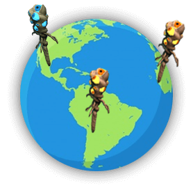 Illustration of Dota 2 wards watching a globe